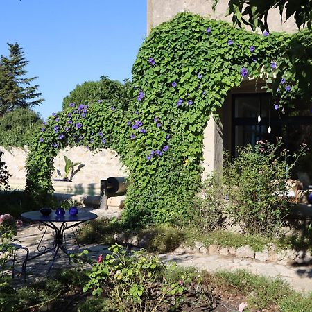 Aux Pots Bleus Bed & Breakfast Nissan-lez-Enserune Ngoại thất bức ảnh